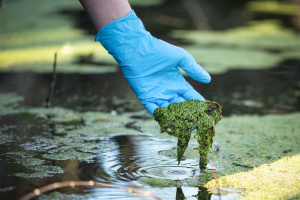 mencegah pencemaran air di lingkungan perkotaan